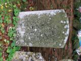 image of grave number 599533